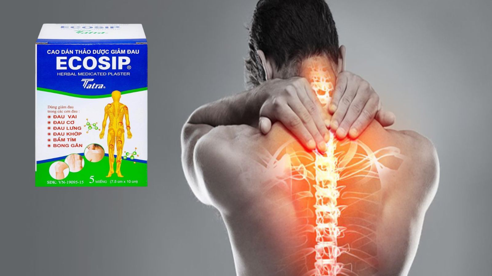 Cao dán thảo dược Ecosip - Hỗ trợ đau cơ đau lưng