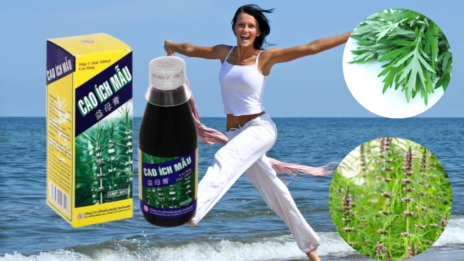 Cao Ích Mẫu giảm đau bụng kinh, điều hoà kinh nguyệt