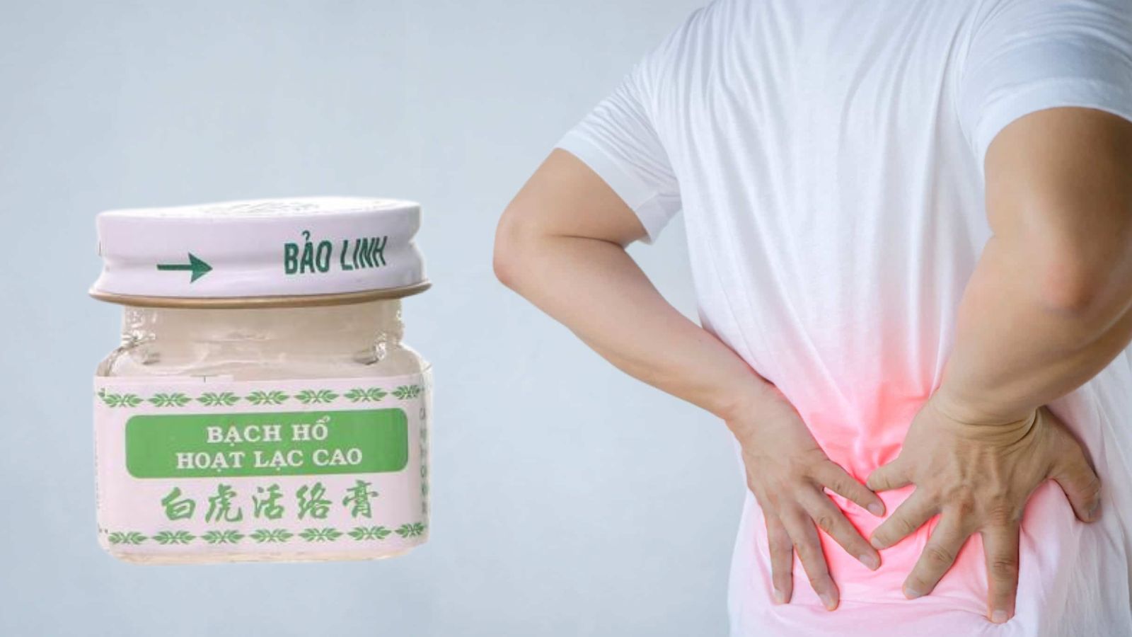 Cao xoa bóp Bạch hổ - Hỗ trợ giảm đau kháng viêm