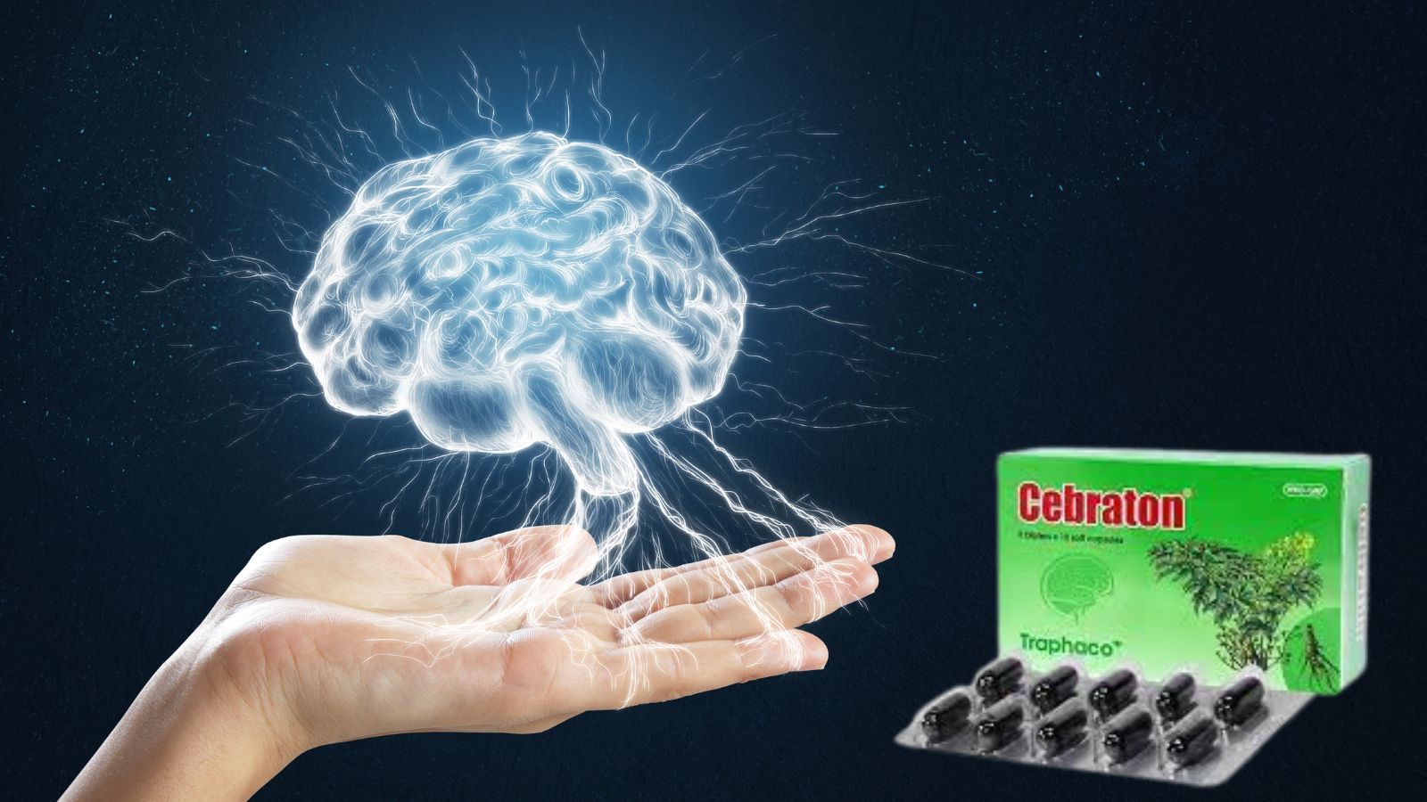 Cebraton - Hỗ trợ trí nhớ và tuần hoàn não