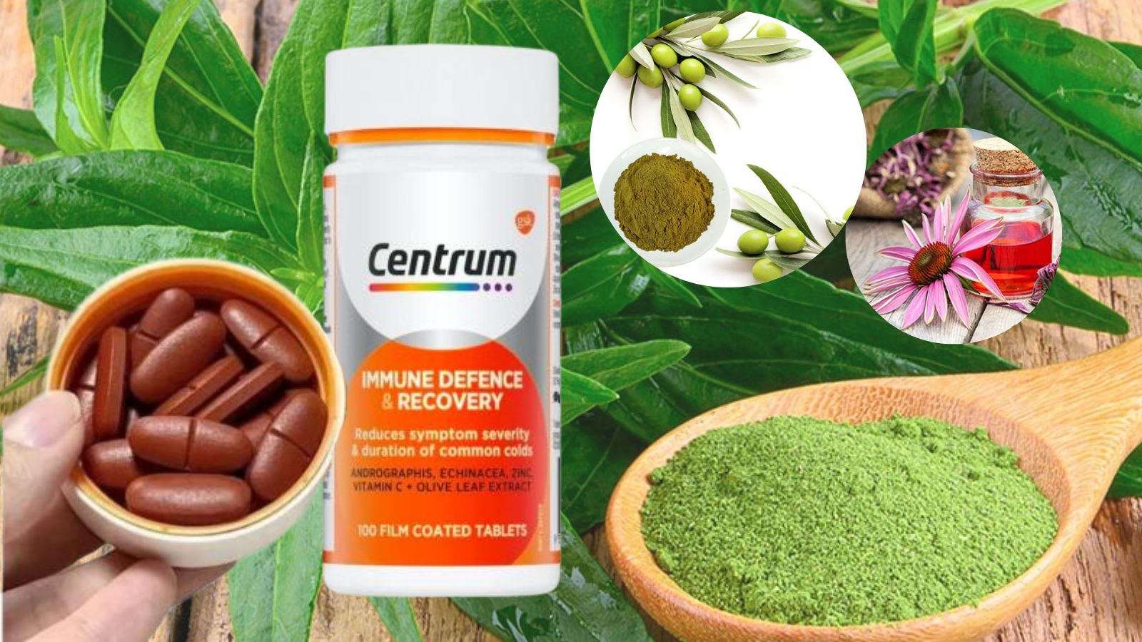 Thành phần chính của Immune Defense & Recovery