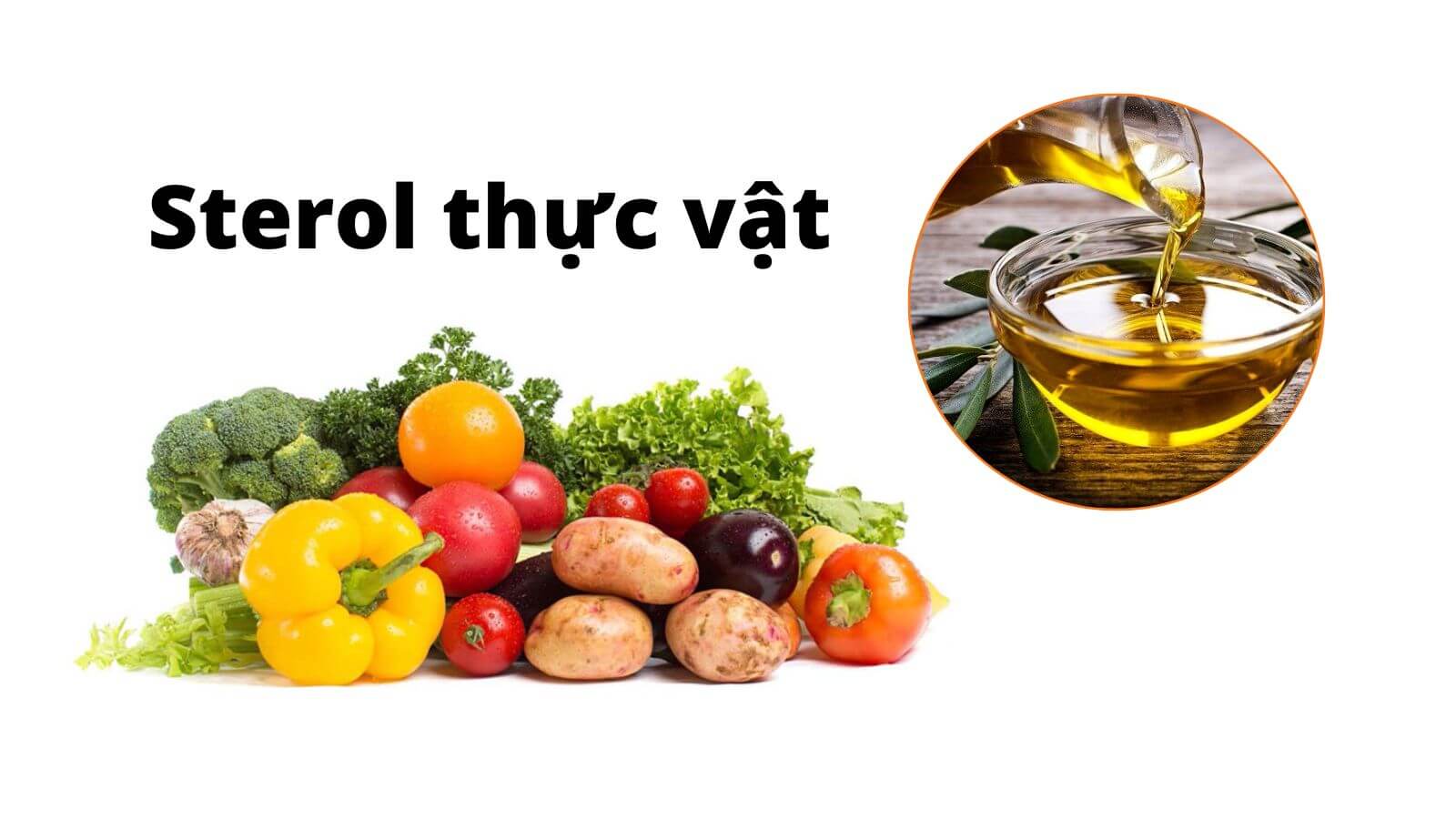 Dầu thực vật Phytosterol Esters là thành phần chính trong Blackmores