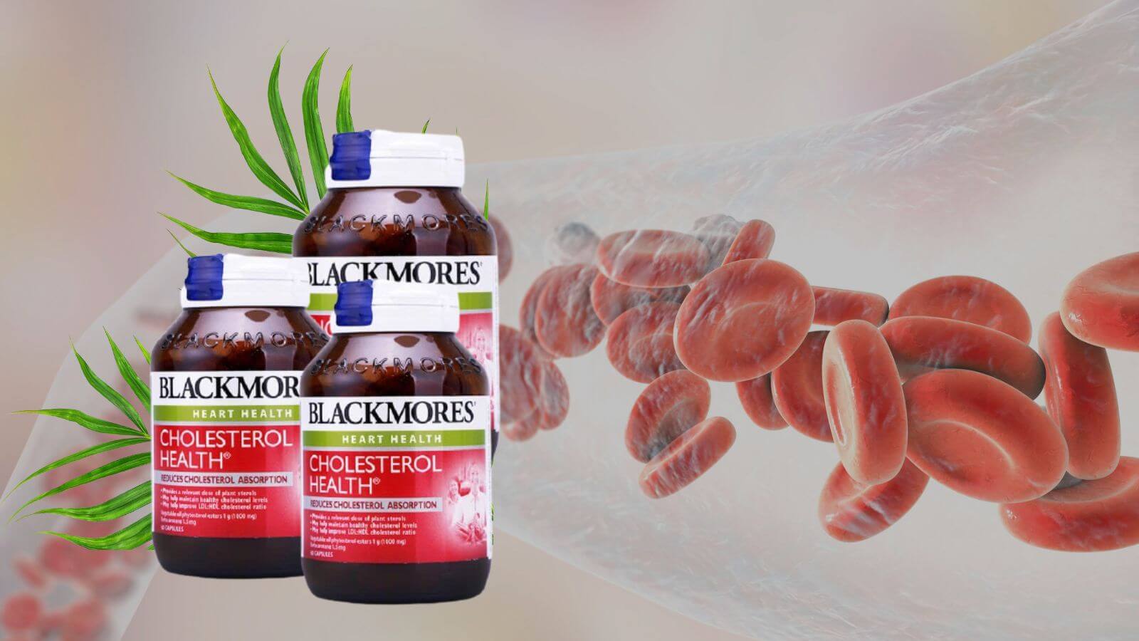 Viên giảm mỡ máu Blackmores Cholesterol Health