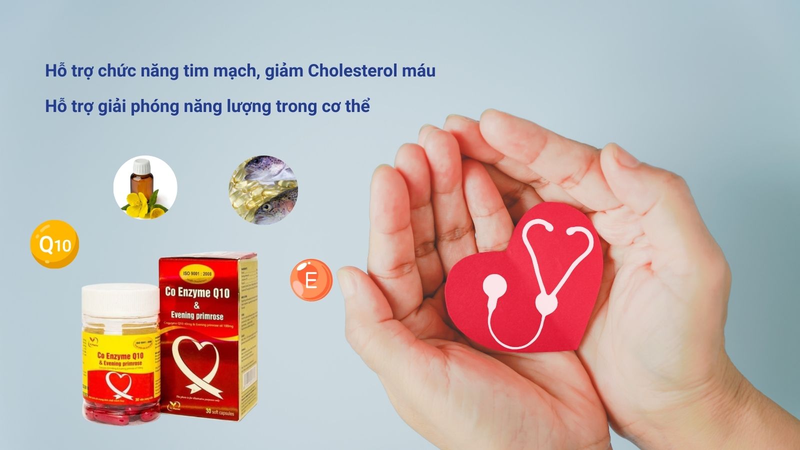Co Enzyme Q10 & Evening Primrose hỗ trợ sức khỏe tim mạch