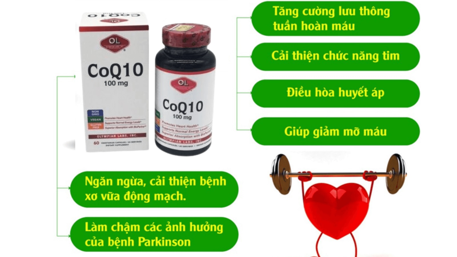Viên uống CoQ10 100mg của Olympian Labs hỗ trợ sức khỏe tim mạch