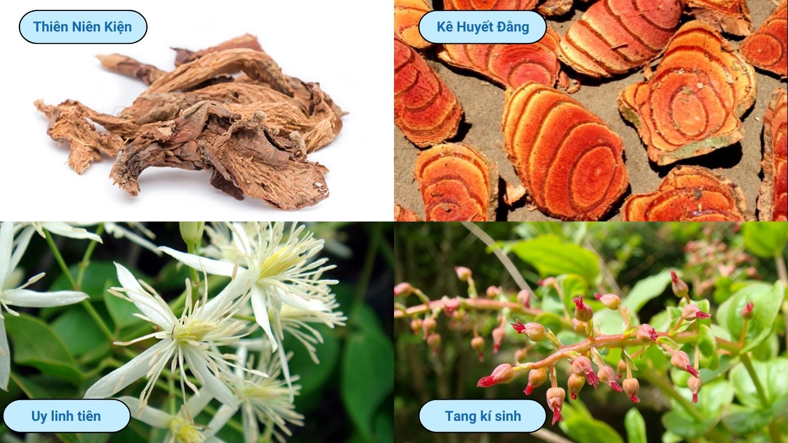 Thành phần chính có trong cường gân mạnh cốt vai gáy Kingphar