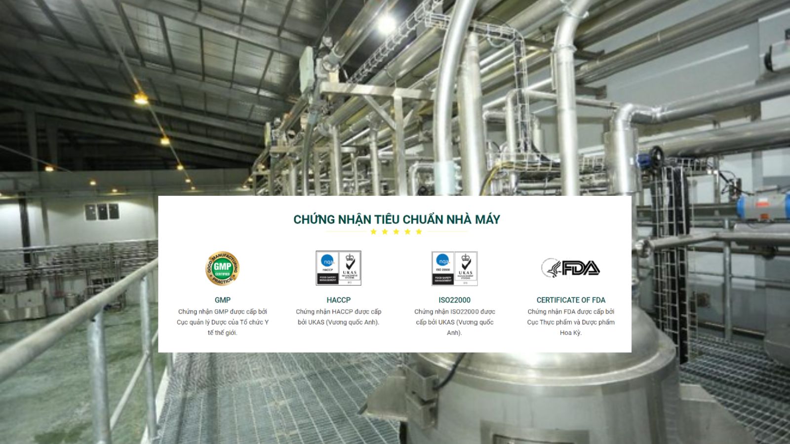 Nhà máy Anvy đạt nhiều chứng nhận TCCL quốc tế.