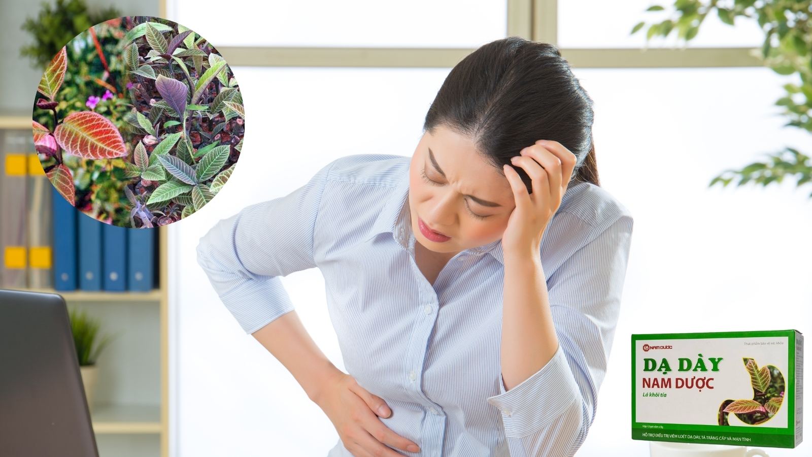 Dạ dày Nam Dược được bào chế từ các thảo dược thiên nhiên
