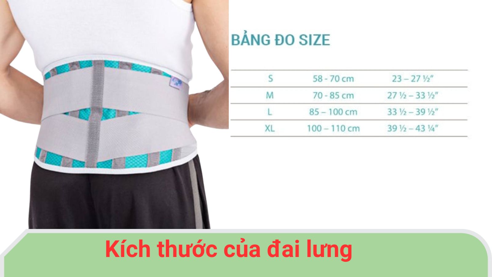 Số đo kích thước đai lưng