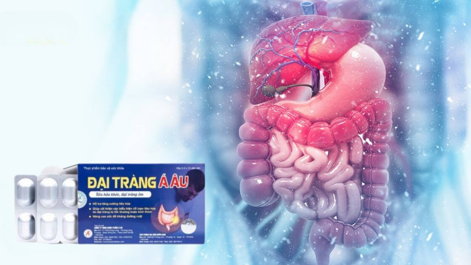 Đại tràng Á Âu giúp bạn có một hệ tiêu hóa khỏe mạnh