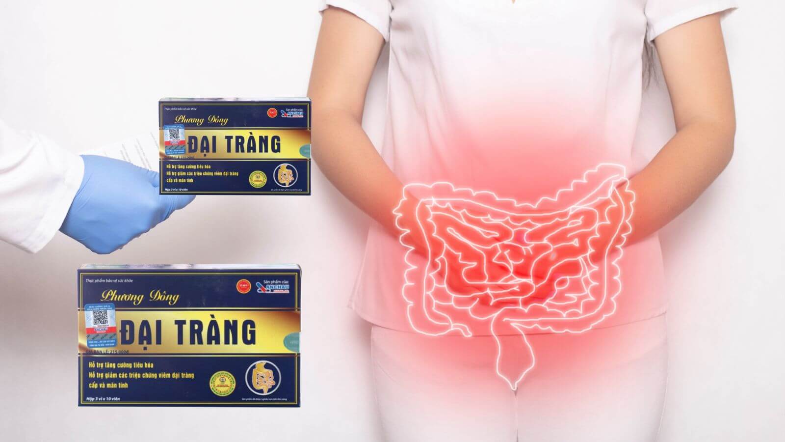 Đại Tràng Phương Đông giúp cải thiện chức năng đại tràng và hệ tiêu hóa
