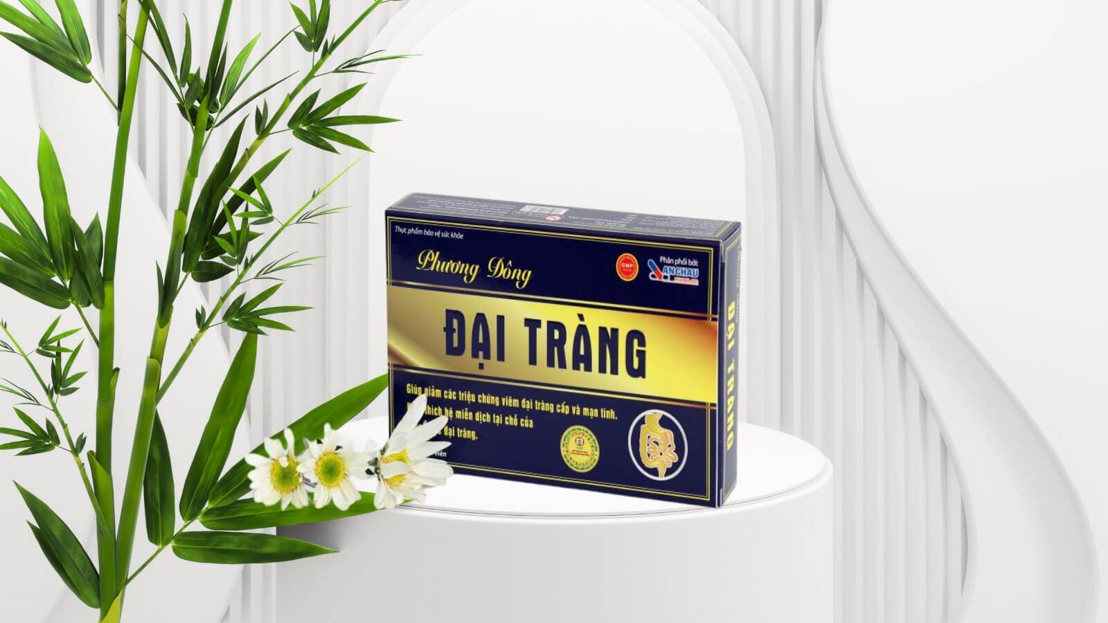 Đại Tràng Phương Đông là sản phẩm của Công ty Dược phẩm và Thương mại Phương Đông