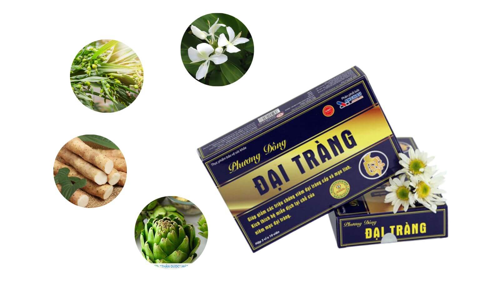 Thành phần kết hợp chủ yếu từ thiên nhiên