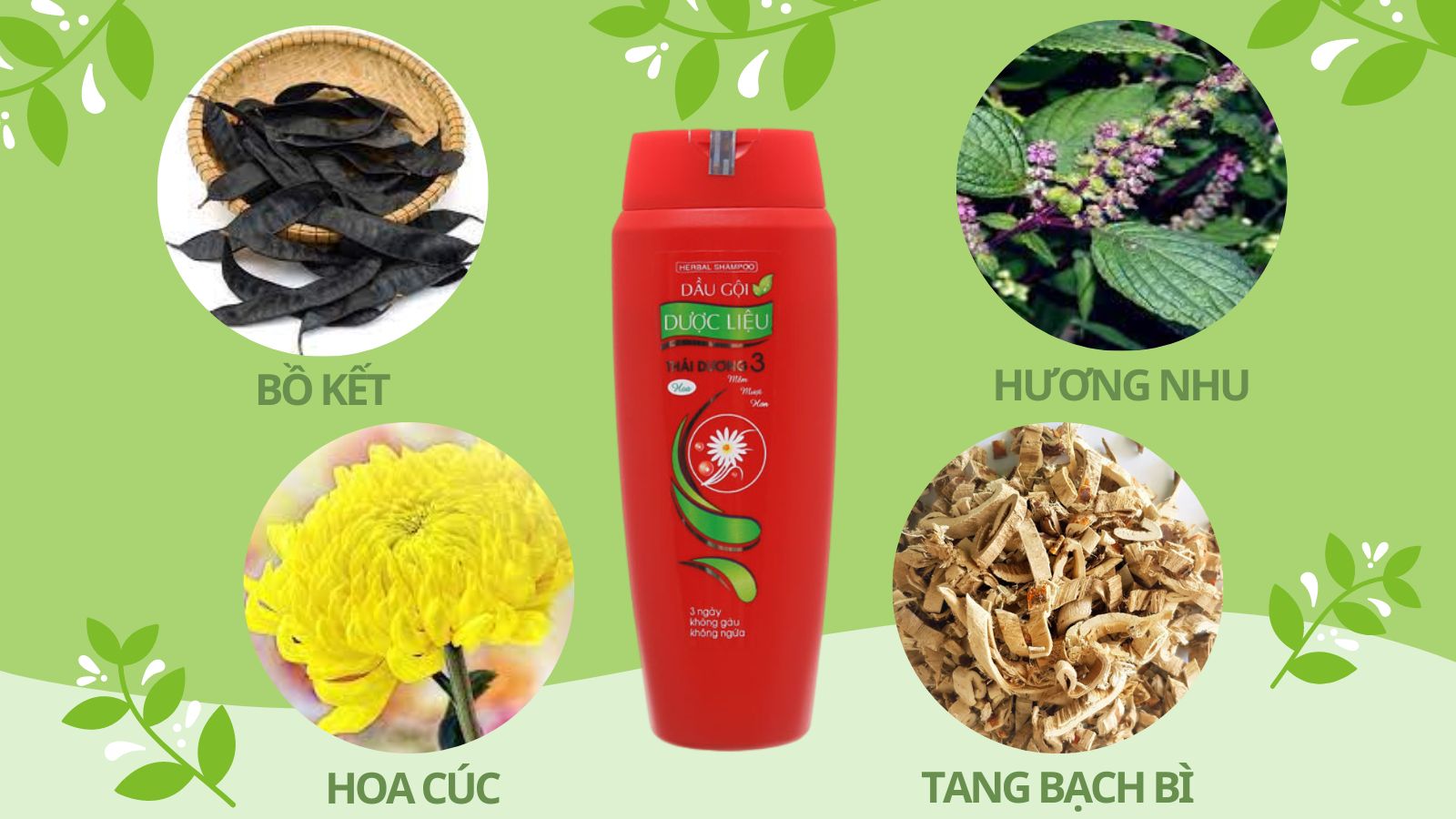 Dầu gội dược liệu Thái Dương 3 hương hoa