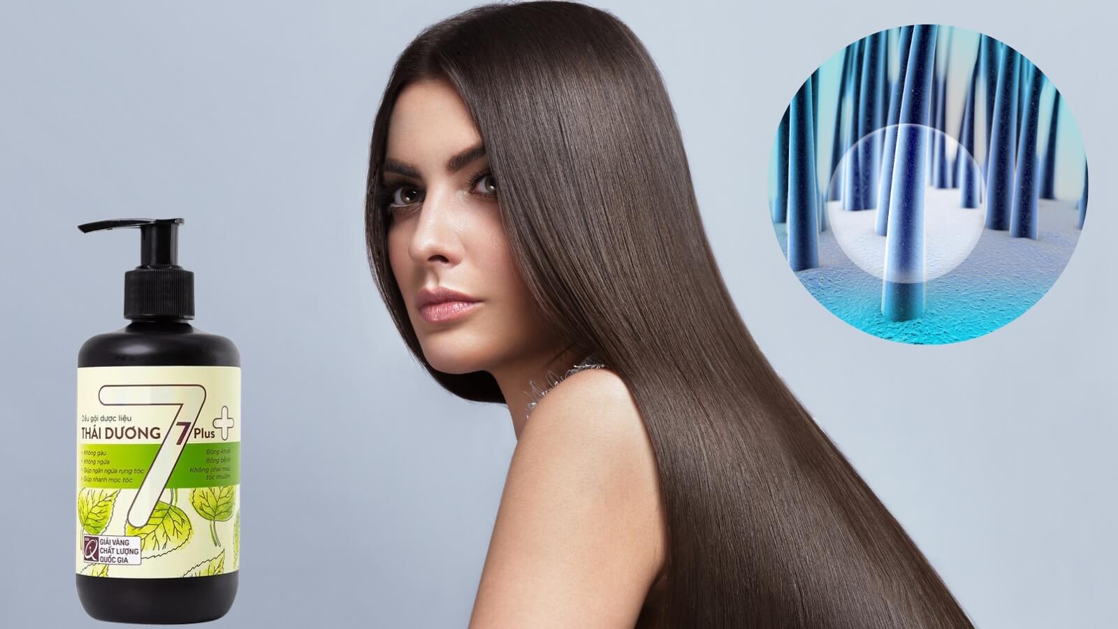 Dầu gội dược liệu Thái Dương 7 giúp mái tóc suôn mượt chắc khỏe