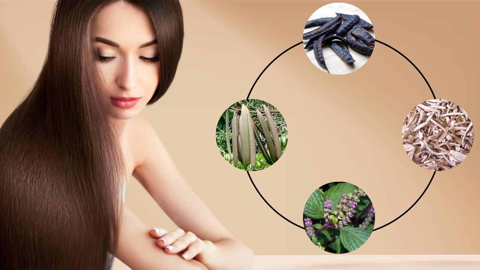 Chiết suất từ các thành phần thiên nhiên giúp chăm sóc da đầu, giảm nhờn ngứa, mái tóc chắc khỏe.