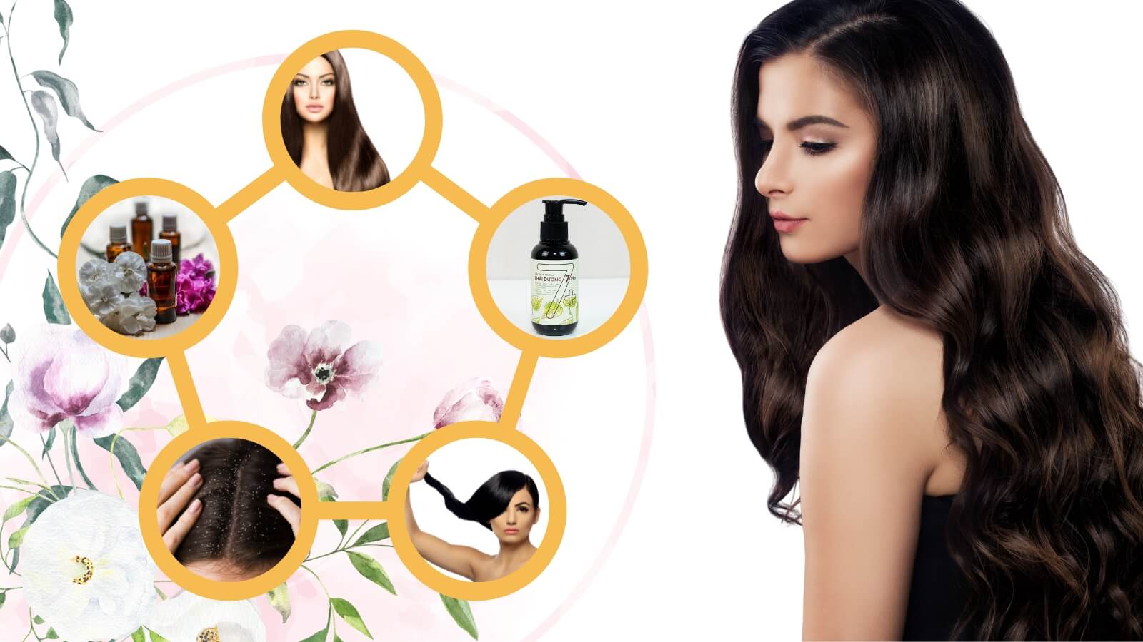 Sản phẩm được cải tiến từ dầu gội Thái Dương 7 với những ưu điểm vượt trội.