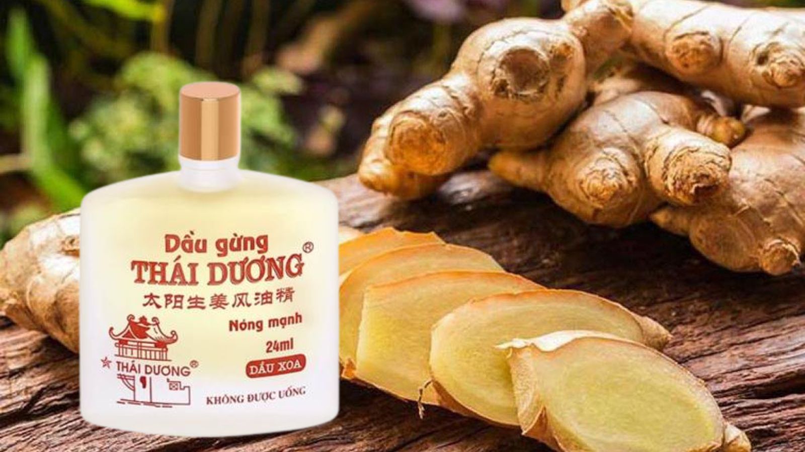 Dầu gừng Thái Dương - Giảm đau vai gáy