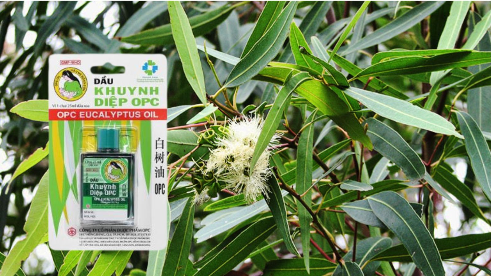 Dầu khuynh diệp OPC - Hỗ trợ cảm cúm, ho, đau đầu
