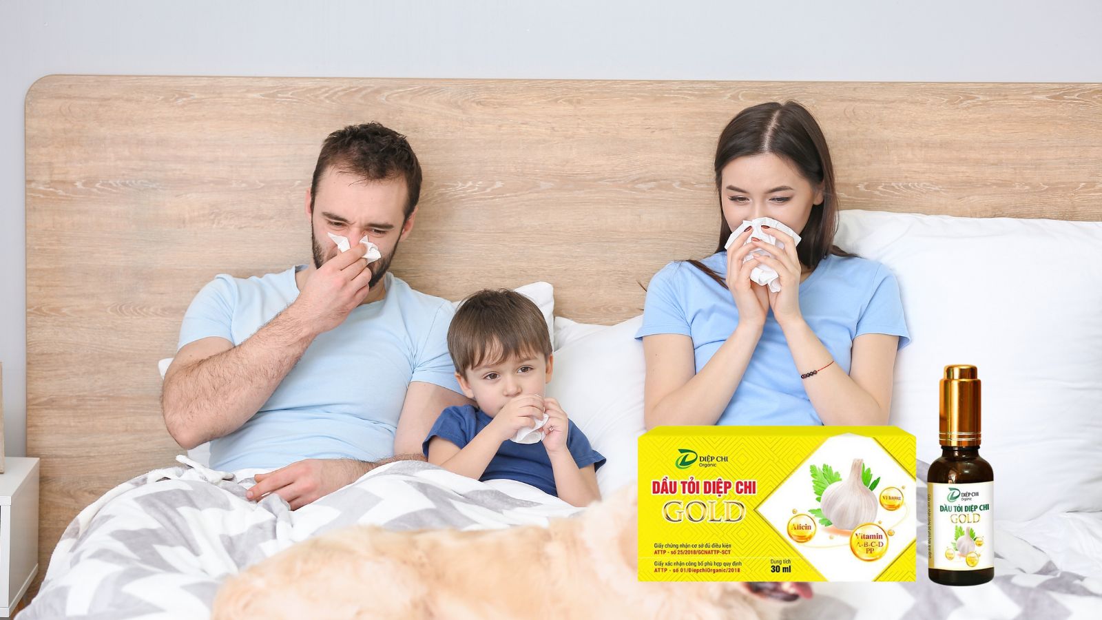 Dầu Tỏi Diệp Chi Gold là sản phẩm tự nhiên được chiết xuất từ tỏi nguyên chất, với nhiều tác dụng có lợi cho sức khỏe