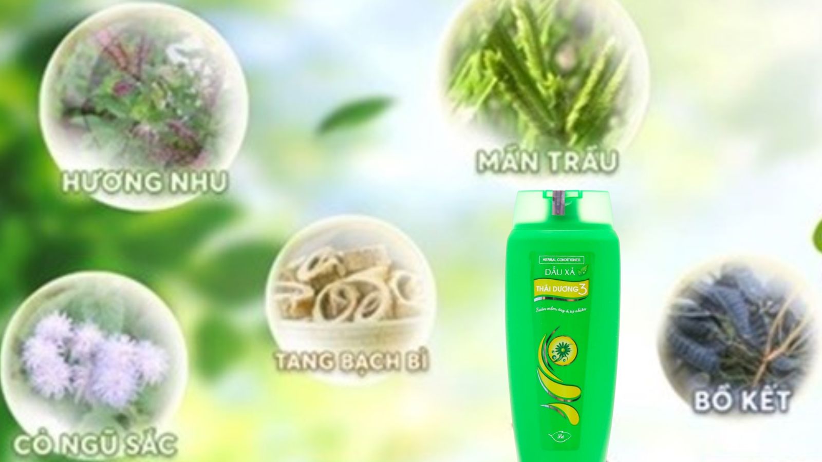 Thành phần chính dầu xả dược liệu Thái Dương 3 xanh