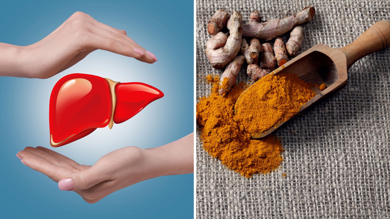 Curcumin trong các loại nghệ có khả năng chống oxy hóa, bảo vệ tế bào gan