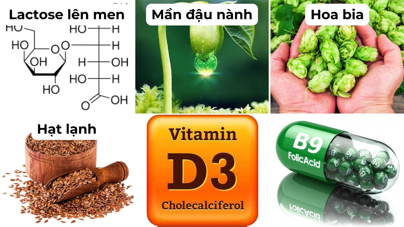 Thành phần chính có trong viên uống DHC mầm đậu nành giảm lão hóa da