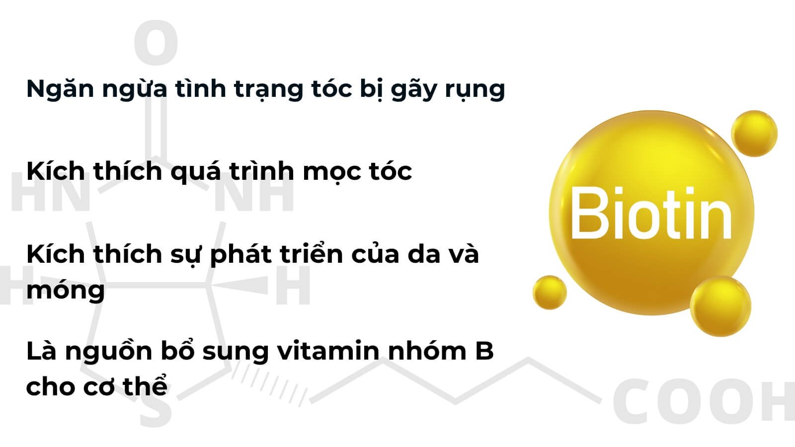 Biotin có vai trò quan trọng đối với móng, tóc và da của con người