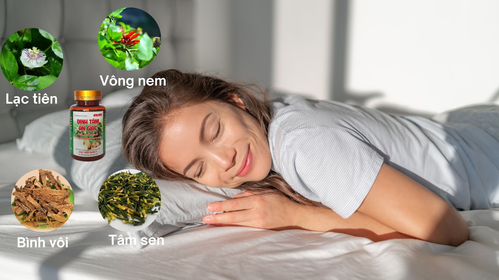 Thành phần cao dược liệu quý mang lại giấc ngủ ngon, tự nhiên hơn cho người dùng
