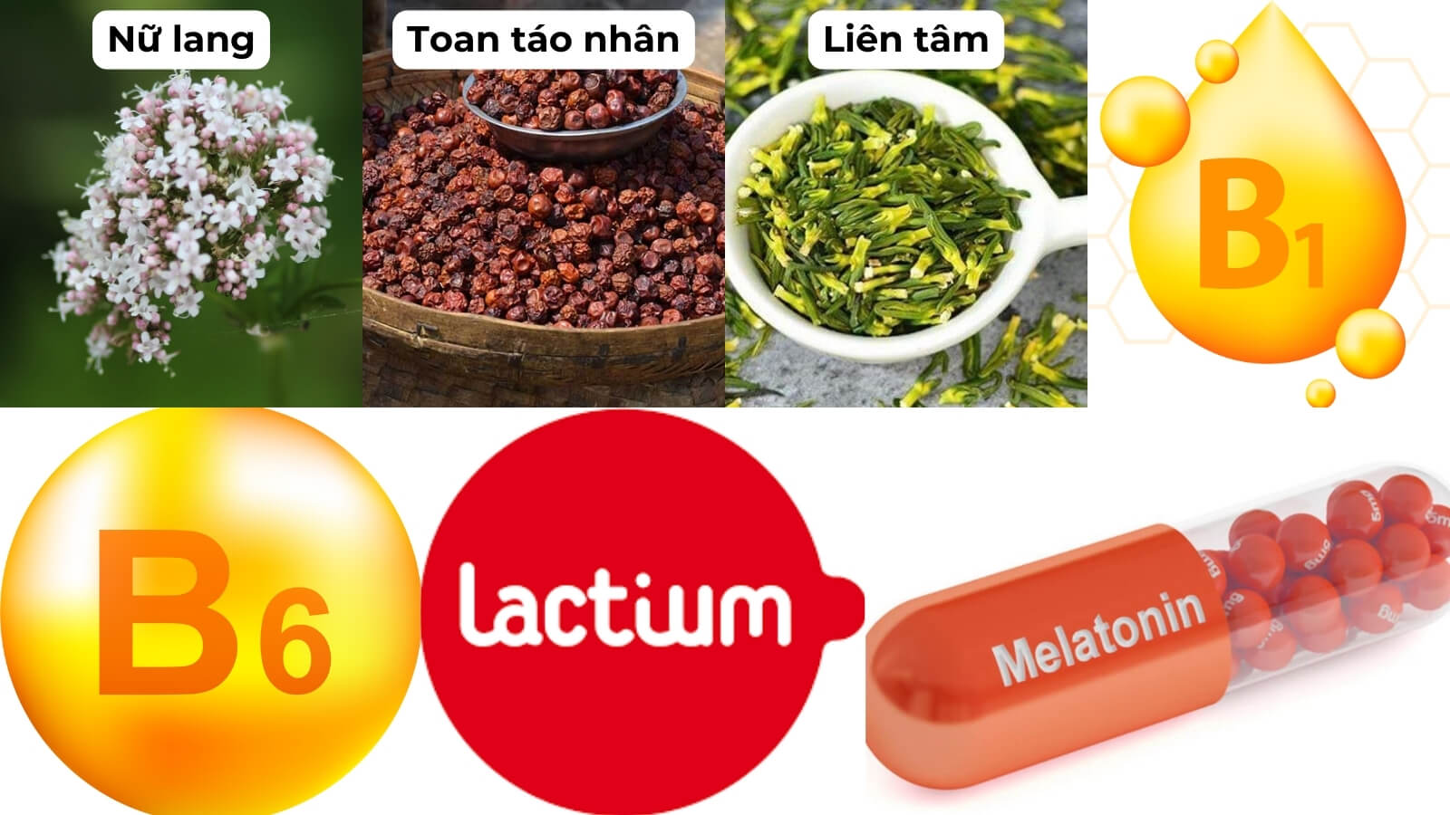Các thành phần chính có trong viên uống Định Tâm Đan