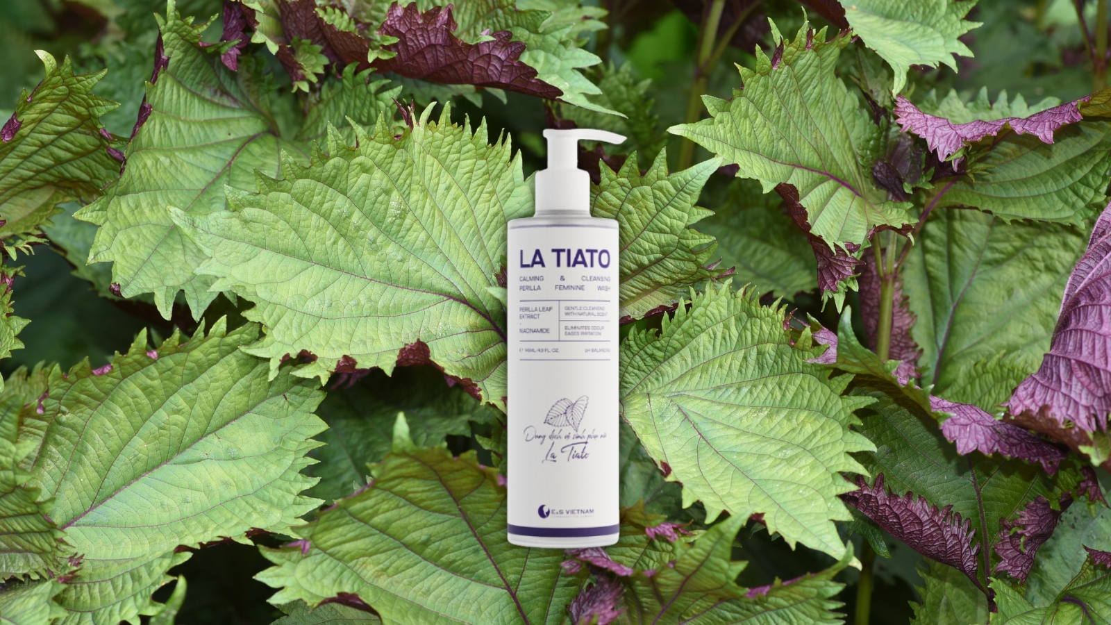 Dung dịch vệ sinh La Tiato - Làm sạch nhẹ nhàng, giữ ẩm và cân bằng độ pH vùng kín