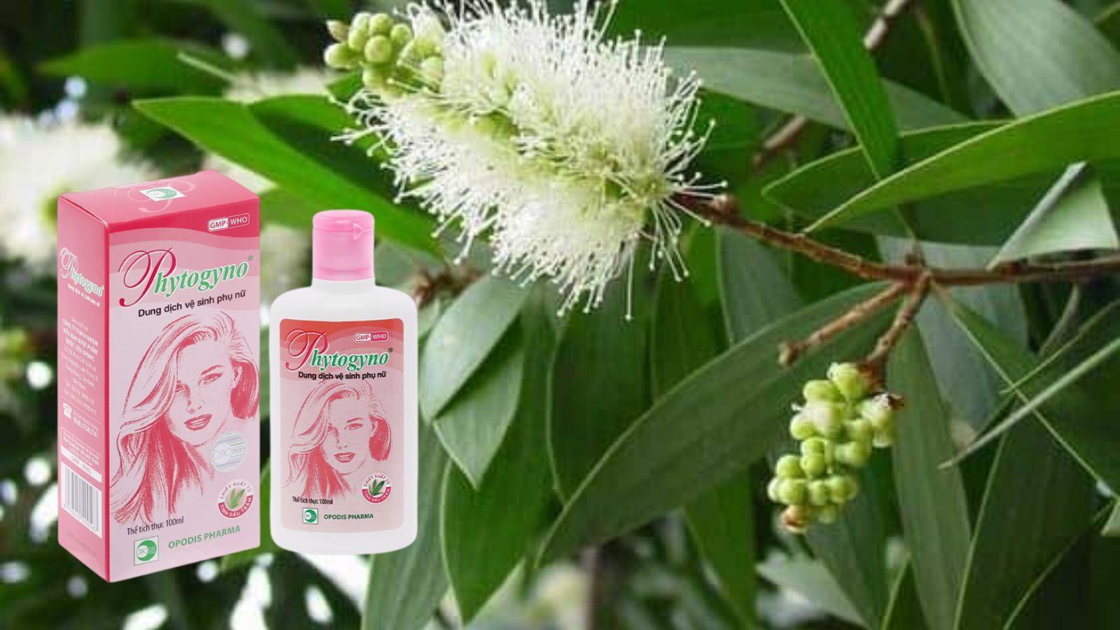 Dung dịch vệ sinh Phytogyno - Tránh viêm nhiễm sinh dục