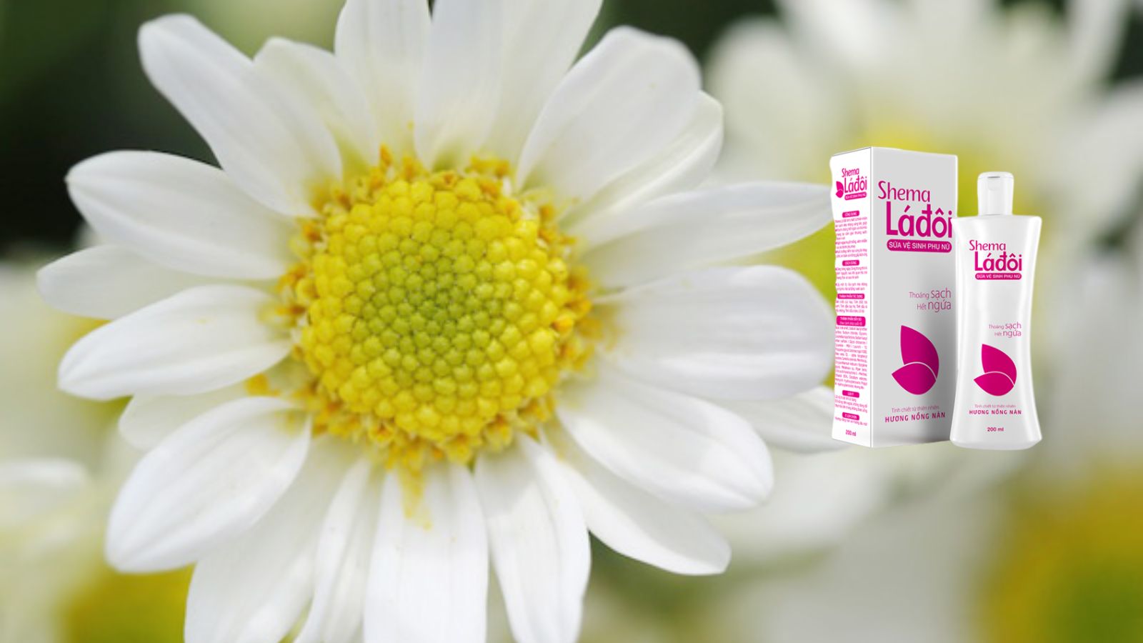 Shema Lá đôi hồng - Dung dịch vệ sinh