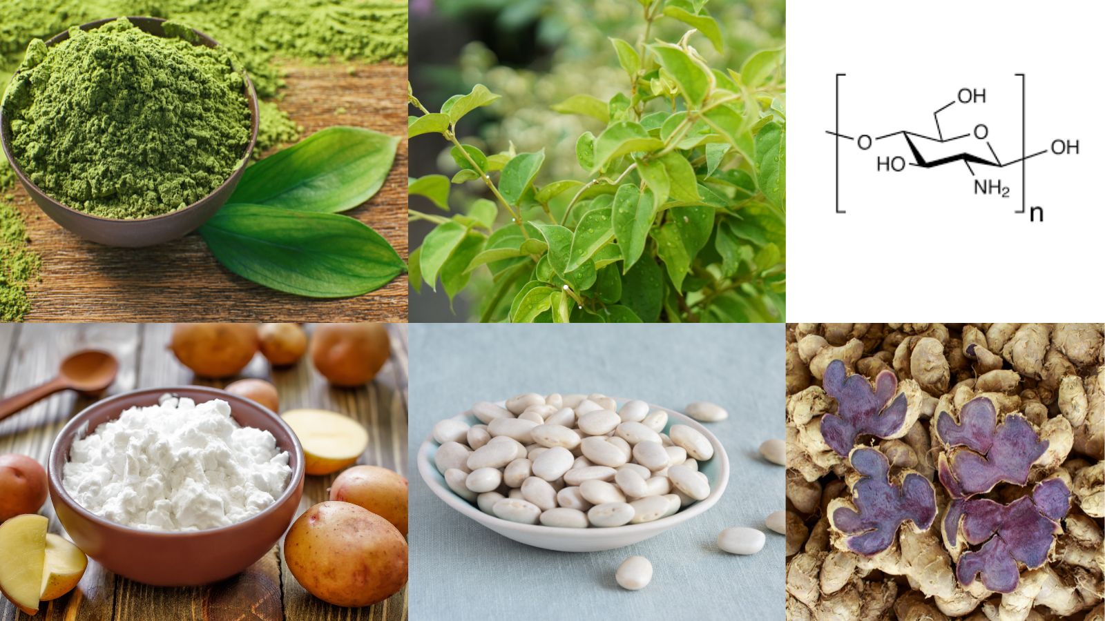Thành phần chính trong viên uống Eat & Diet Kendai 