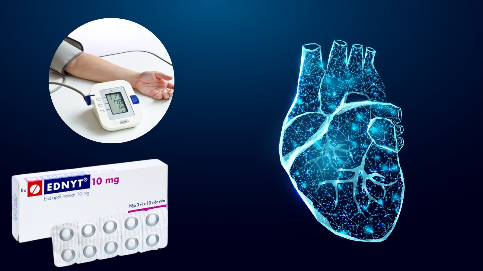 Thuốc có thành phần chính là Enalapril maleat, được chỉ định điều trị trong các trường hợp tăng huyết áp, suy tim