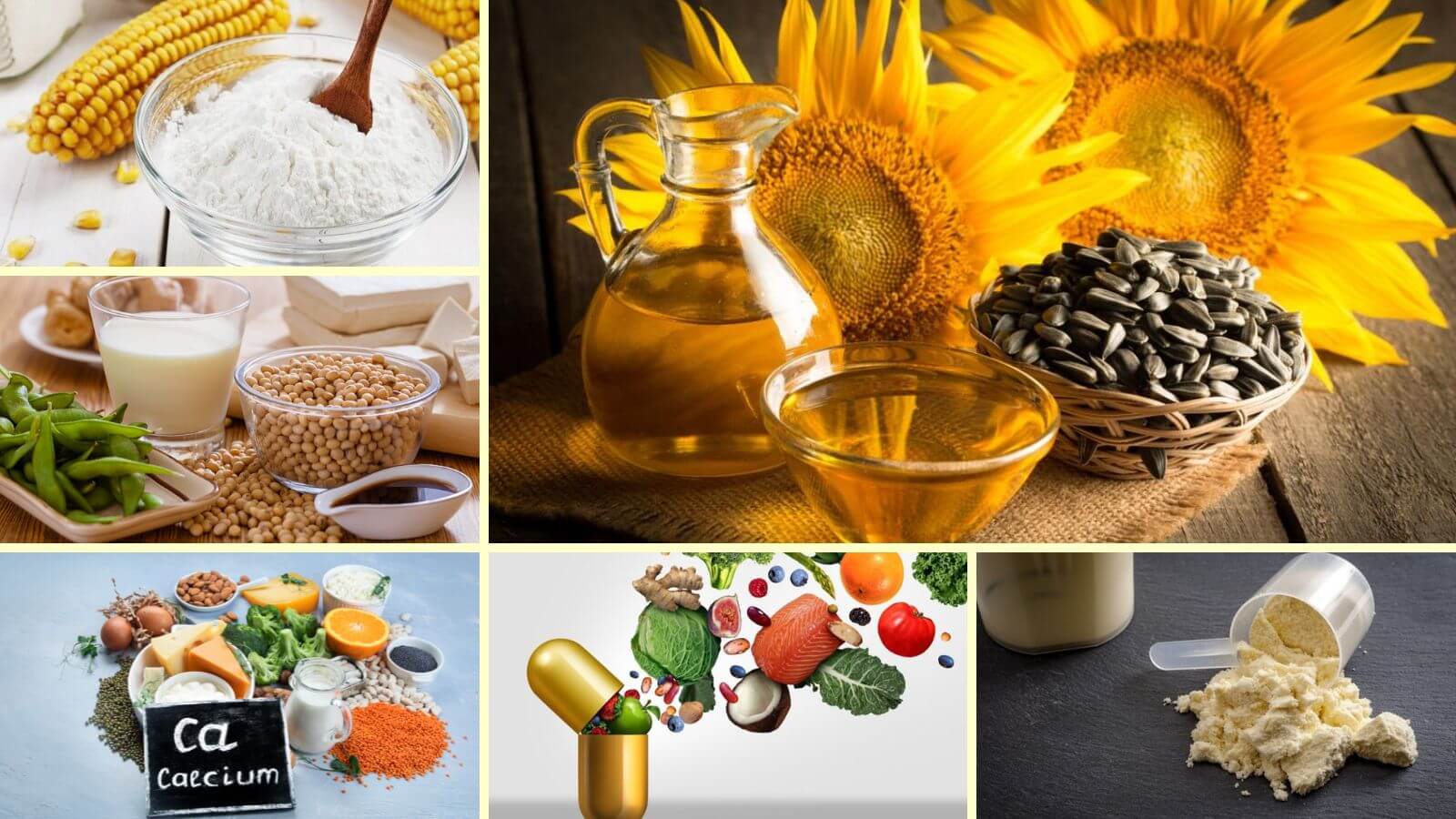Thành phần của Sữa Ensure Gold