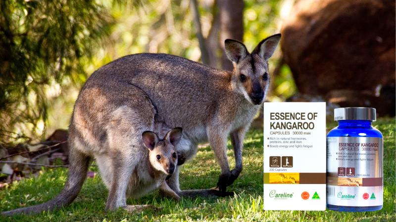 Viên uống sinh lý nam Essence Of Kangaroo được chiết xuất từ cơ bắp của Kangaroo đực tại Úc