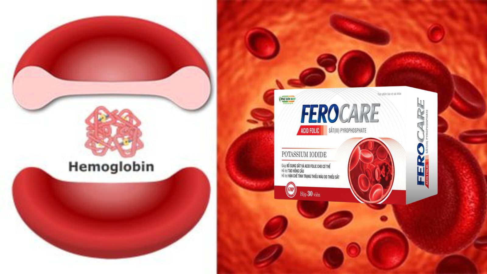 FEROCARE - Hỗ trợ tạo hồng cầu