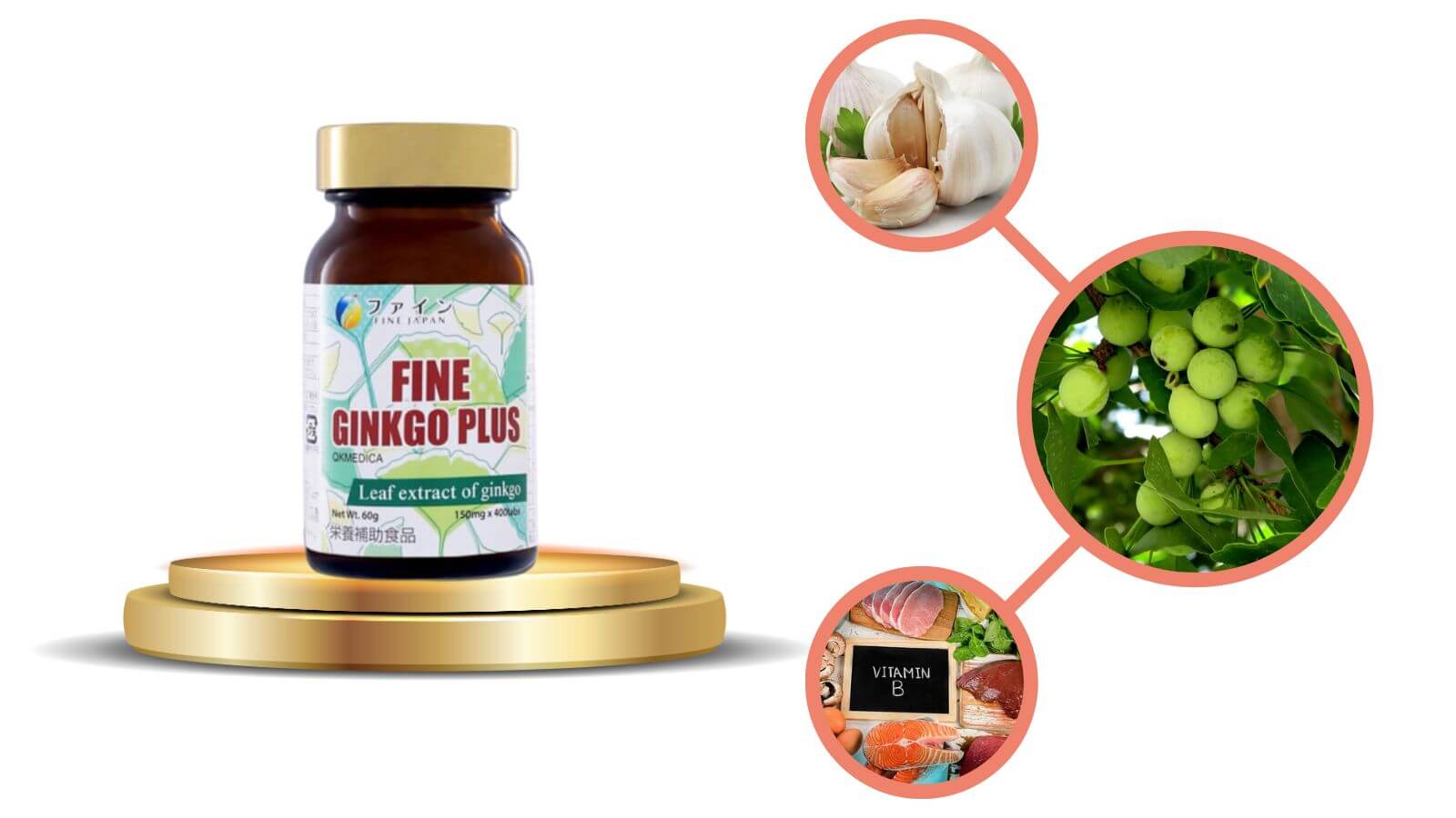 Th&agrave;nh phần của vi&ecirc;n uống bổ n&atilde;o Fine Ginkgo Plus