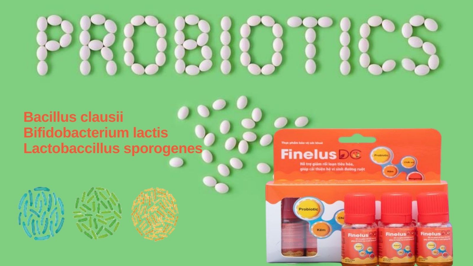 Finelus DC - Bổ sung lợi khuẩn