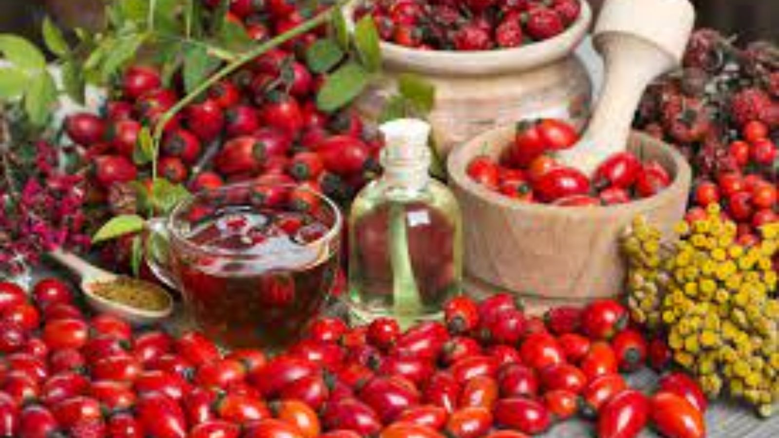 Quả tầm xuân giàu vitamin C chống oxy hóa cho cơ thể.