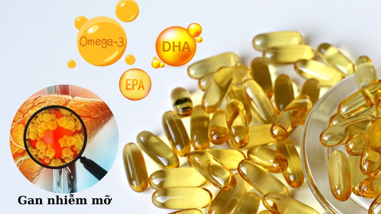 Omega 3 kiểm soát chuyển hóa lipid, giảm mỡ trong gan