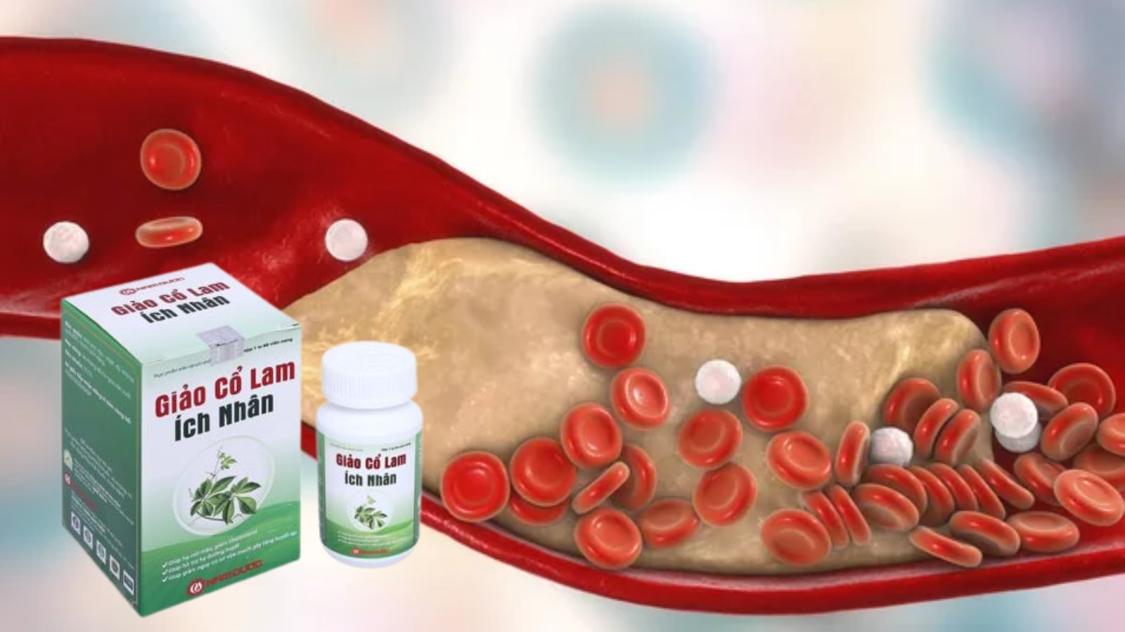 Giảo cổ lam Ích Nhân - Hỗ trợ mỡ máu (60 viên)