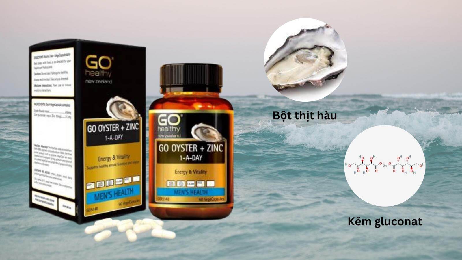 Thành phần chính của viên uống Go Oyster Plus Zinc 1-A-Day