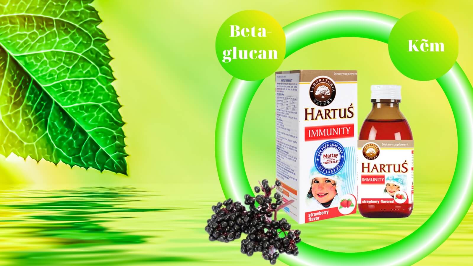 Với các thành phần giúp bảo vệ cơ thể khỏi sự tấn công của virus, vi khuẩn gây cảm cúm, cảm lạnh.