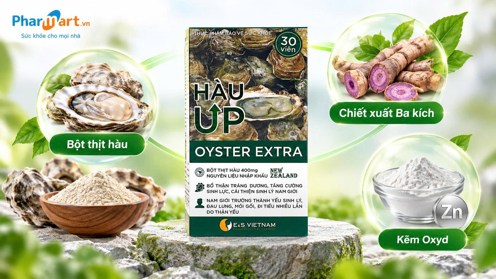 Th&agrave;nh phần của H&agrave;u Up