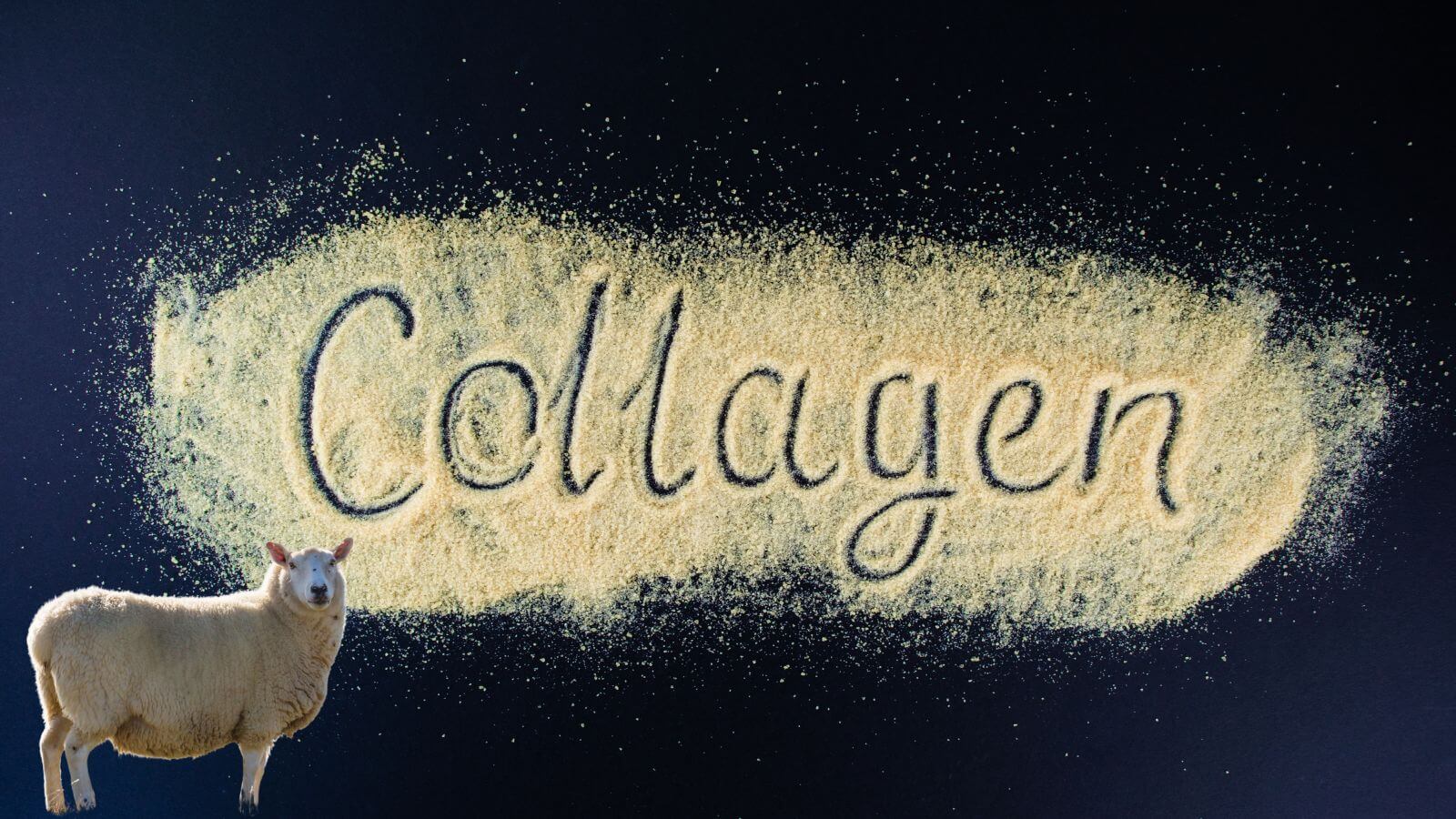 Thành phần gồm Gelatin + Canxi Hydro Phosphat sản sinh Collagen cho cơ thể