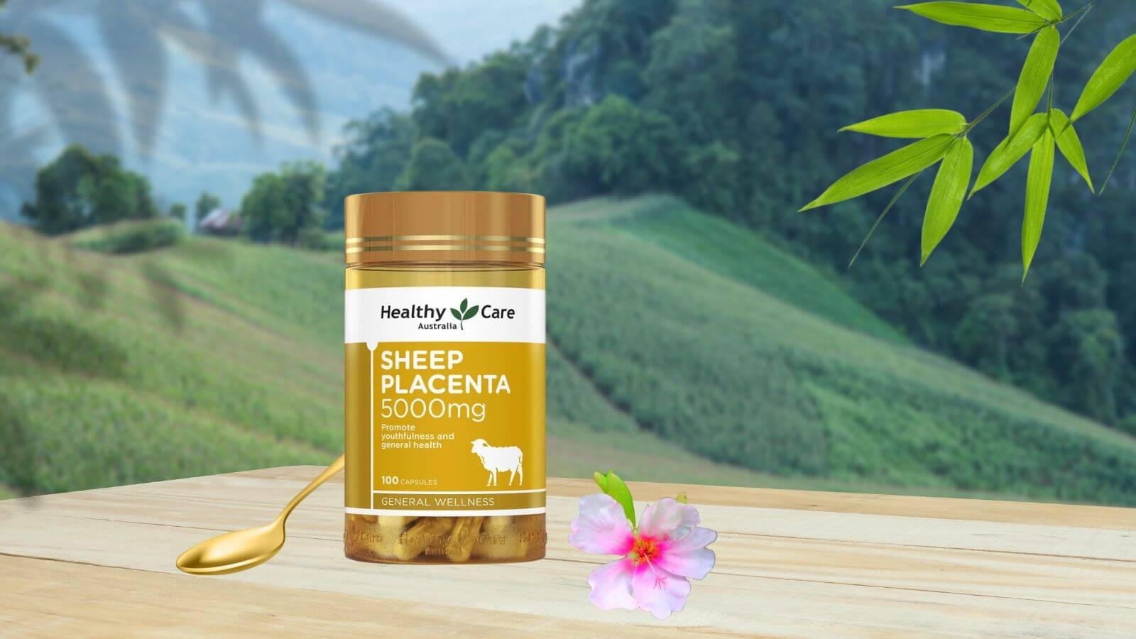 Viên uống nhau thai cừu Úc là sản phẩm của công ty dược phẩm Healthy Care