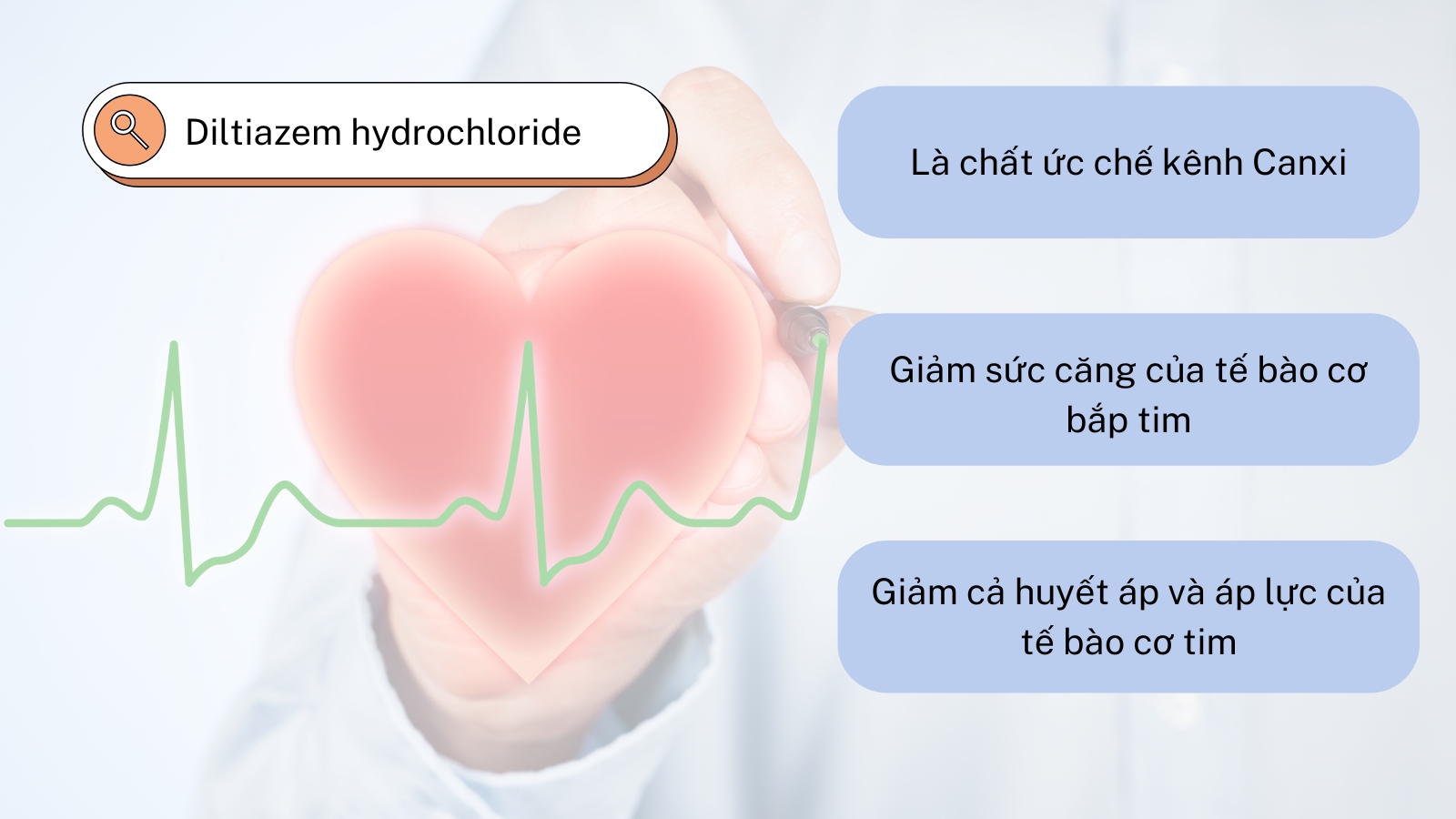 Diltiazem hydrochloride giúp làm giảm sức căng của tế bào cơ tim. 