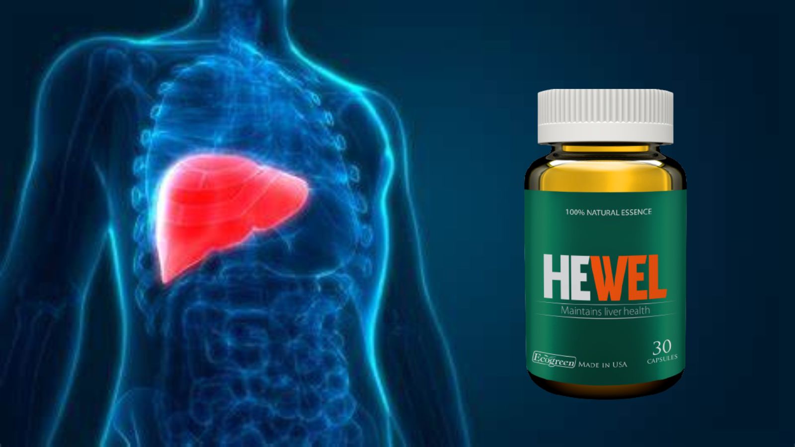 Hewel - Tăng cường giải độc, bảo vệ gan